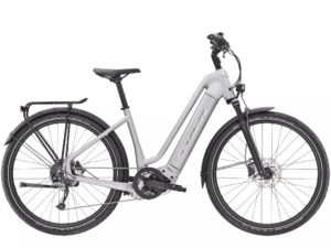 trek fiest